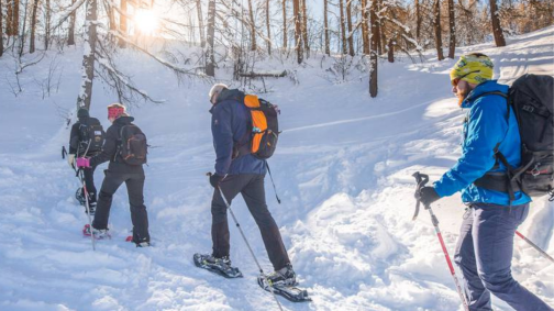 Snowshoeing initiation 