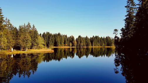 Etang de la Gruère